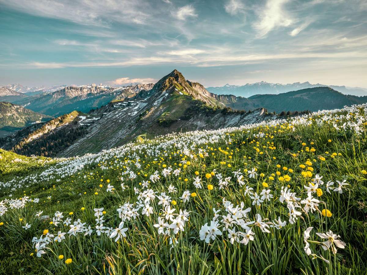 Hôtel D Bulle, Suisse Hôtel 4 étoiles entre Montreux et Fribourg